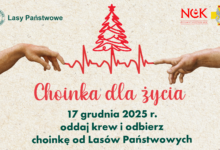 choinka dla życia