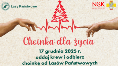 choinka dla życia