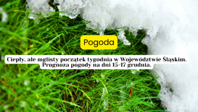 pogoda