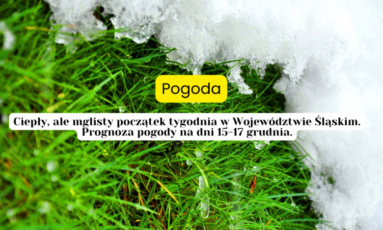 pogoda