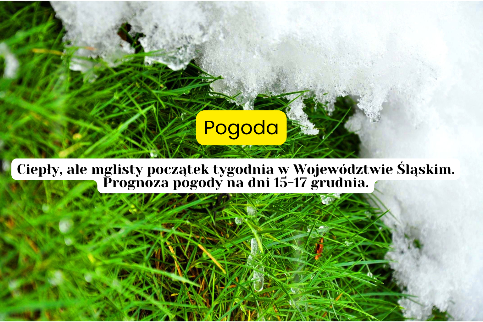 Ciepły jak na grudzień początek tygodnia w Województwie Śląskim. Prognoza Pogody 15-17 grudnia