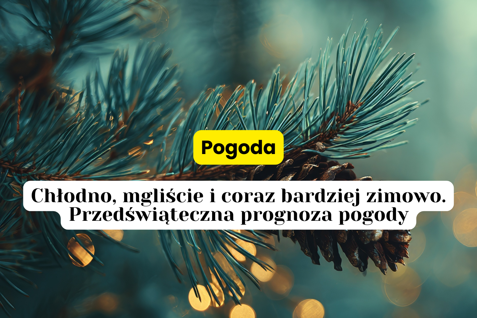 Chłodno, mgliście i coraz bardziej zimowo. Przedświąteczna prognoza pogody