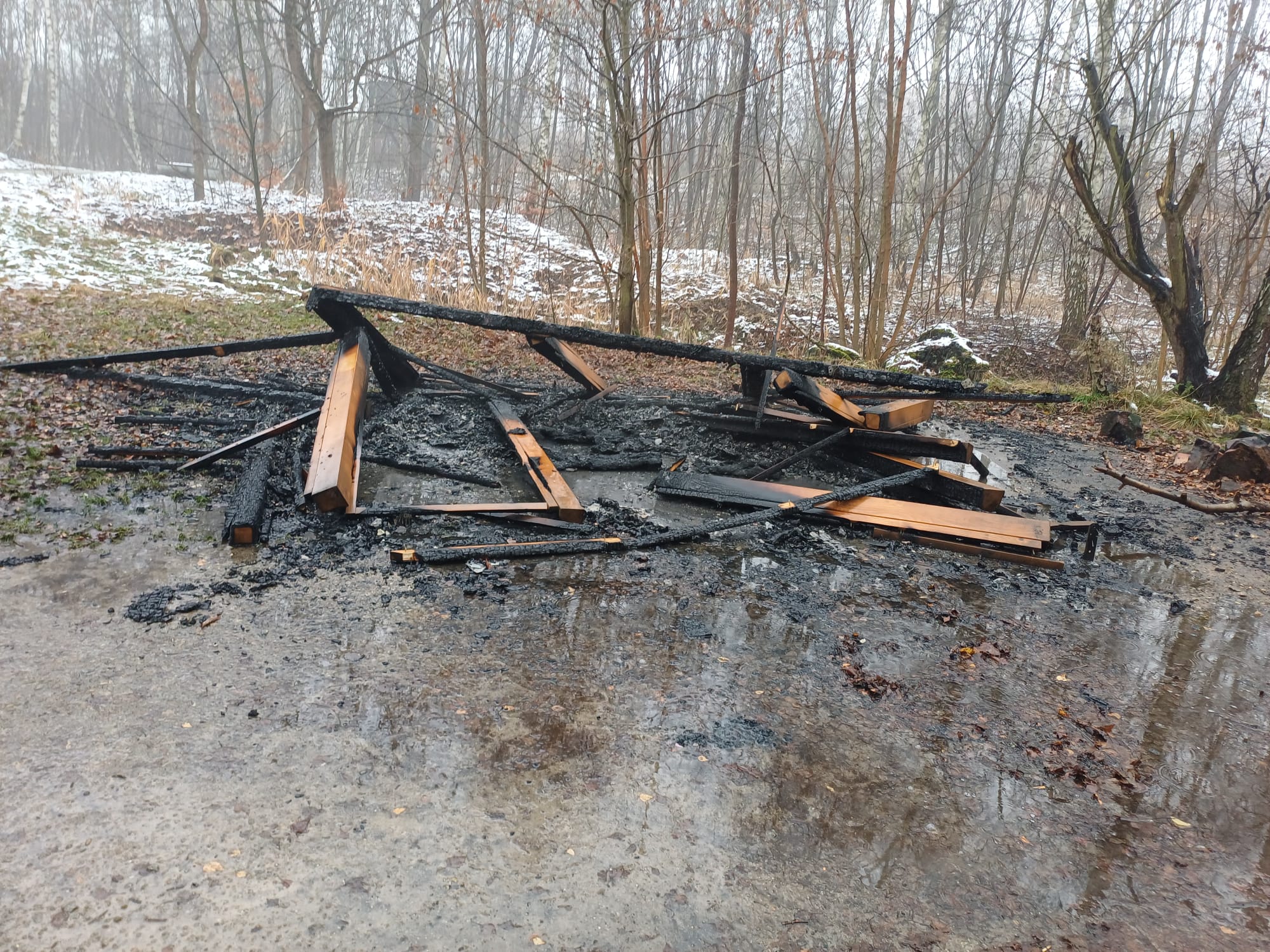 Katowice: Spłonęły altany w Parku Wełnowieckim