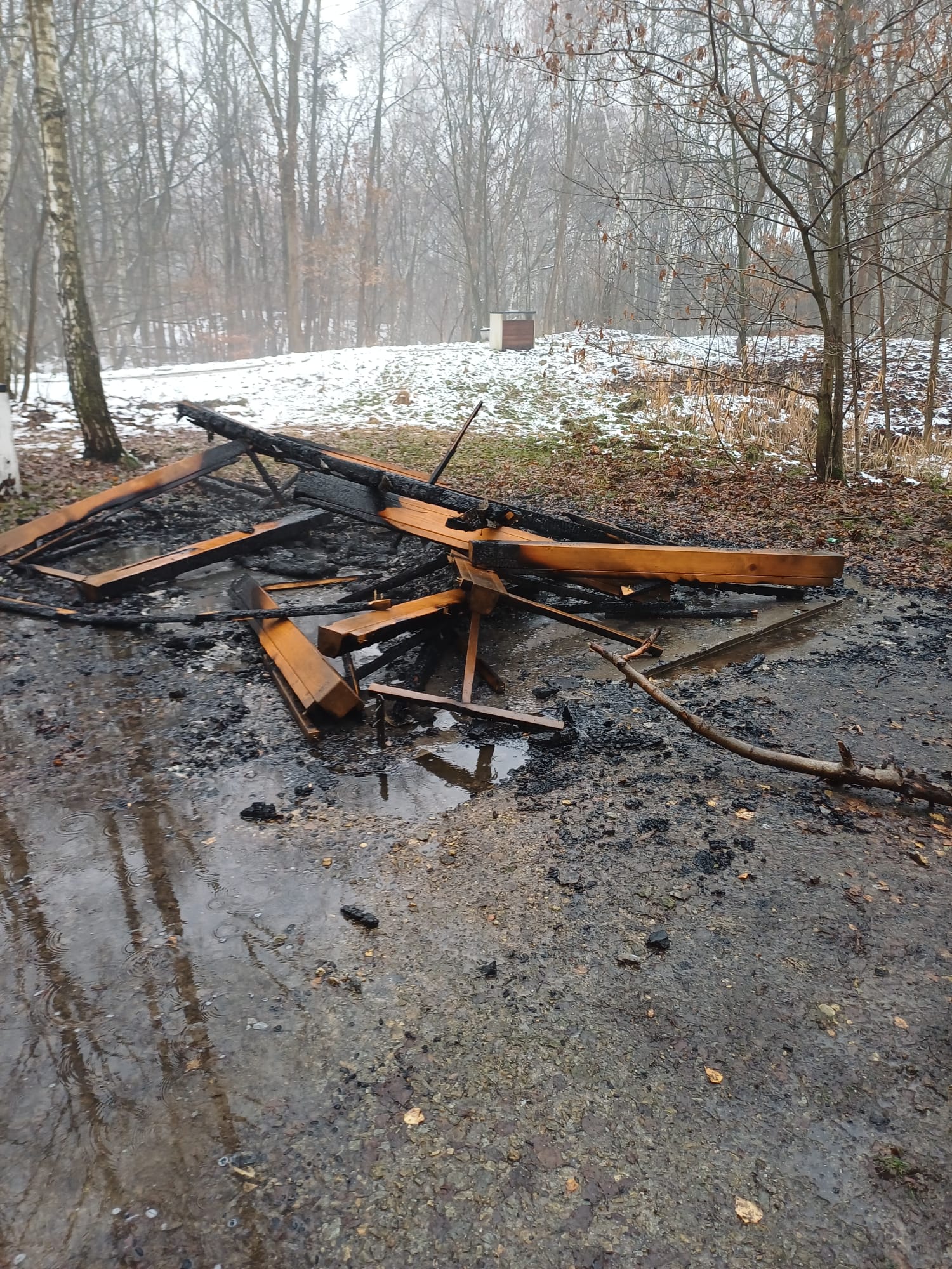 Katowice: Spłonęły altany w Parku Wełnowieckim