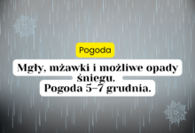 pogoda