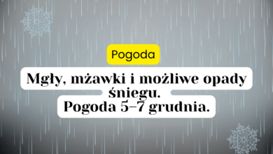 pogoda