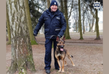 pies tropiący, policja, Wafel