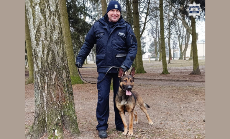 pies tropiący, policja, Wafel