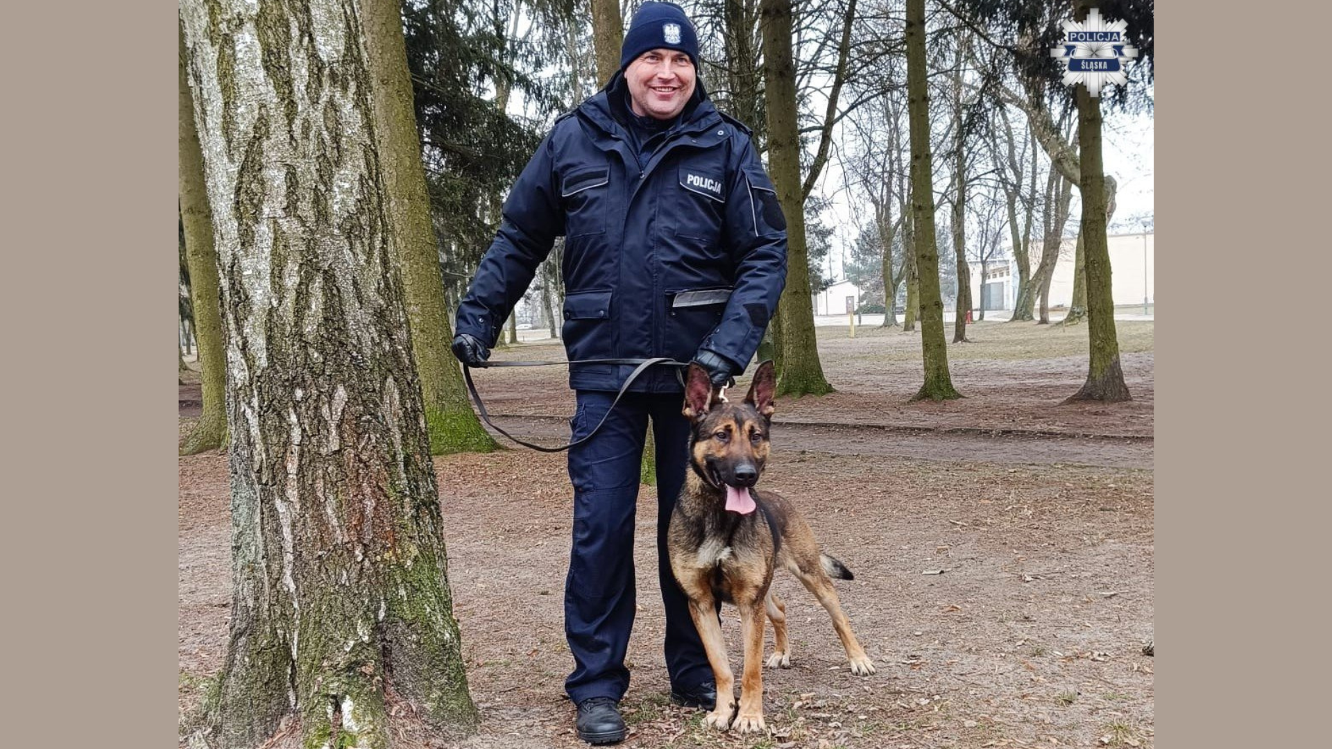 pies tropiący, policja, Wafel