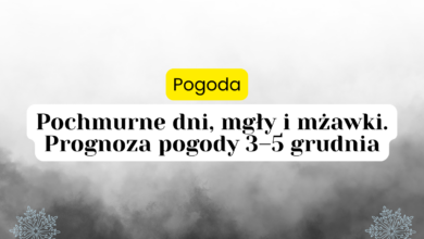 pogoda