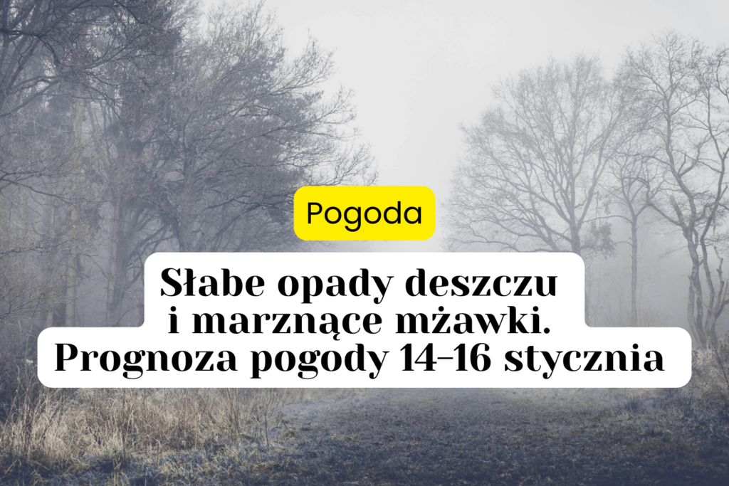 Cieplejszy koniec tygodnia i powrót mrozu w niedzielę. Prognoza pogody 16-18 stycznia