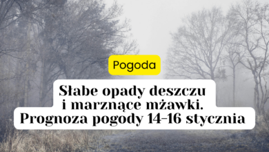 pogoda