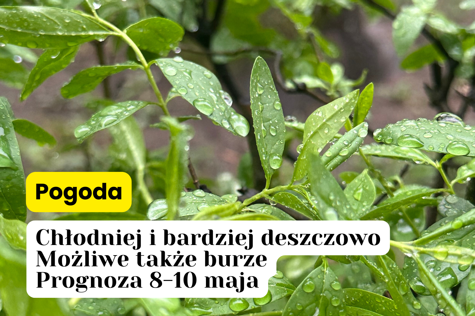 Weekend pod chmurami, ale bez załamań pogody. Prognoza pogody na weekend 8-10 maja
