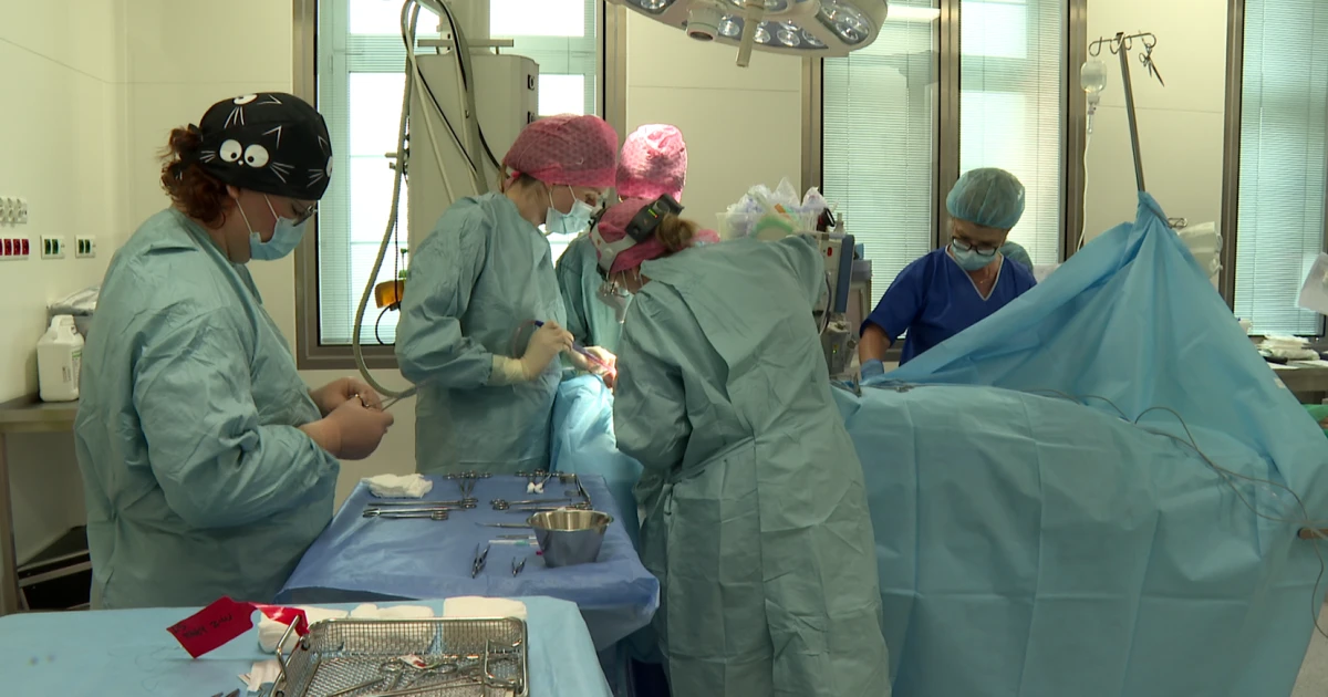 Nowa generacja implantów ślimakowych w Katowicach. Pacjenci odzyskują świat dźwięków
