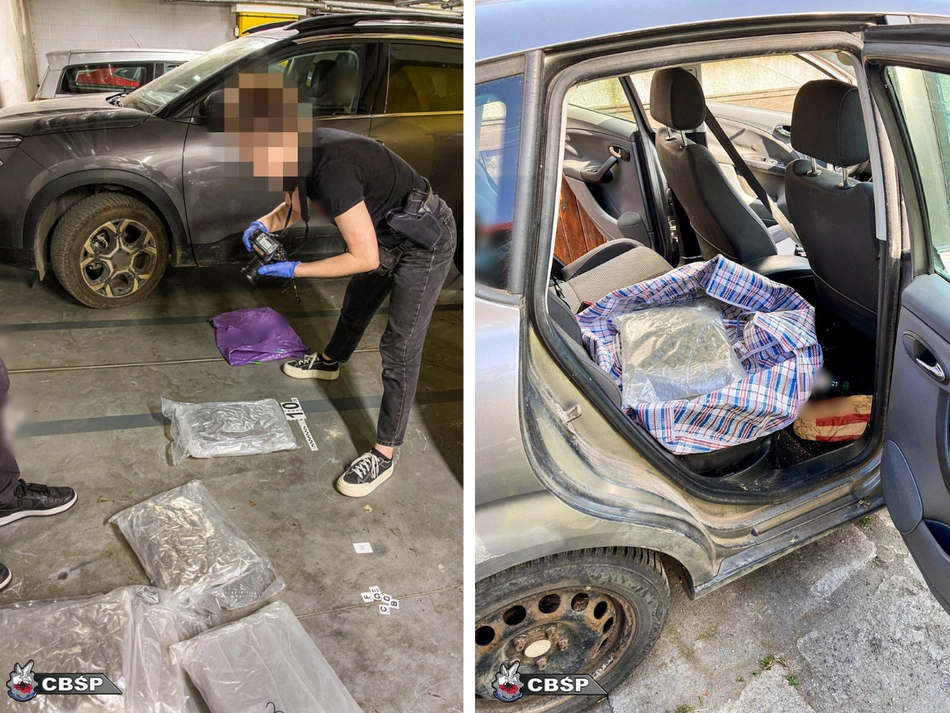 Uderzenie CBŚP i Straży Granicznej. Przejęto ponad 80 kg narkotyków wartych miliony