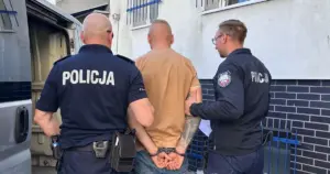 Wodzisław Śląski: Kilkadziesiąt tysięcy tabletek na potencję i 210 kg narkotyków o łącznej wartości 10 mln zł
