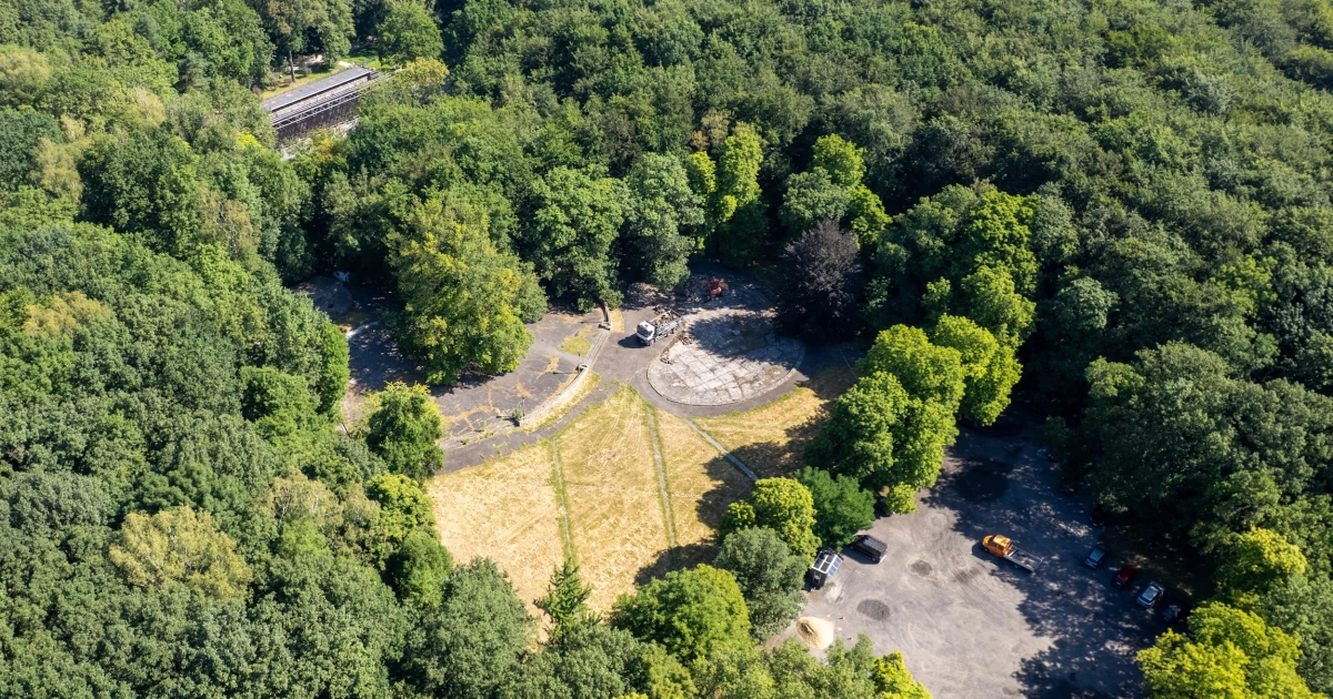 Gliwice: Prace ruszyły tuż obok Dębu Cesarskiego. Drzewo ma przetrwać modernizację bez uszczerbku