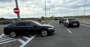 Uciekał przed policją autostradą A1. Funkcjonariusze oddali strzały!