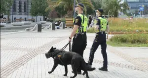 Na katowickim Rynku patroluje Vader. Czworonożny strażnik pilnuje porządku w centrum miasta