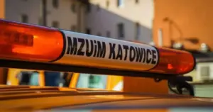 Rusza przebudowa przy ul. Poniatowskiego w Katowicach - powstaną nowe chodniki i zieleń