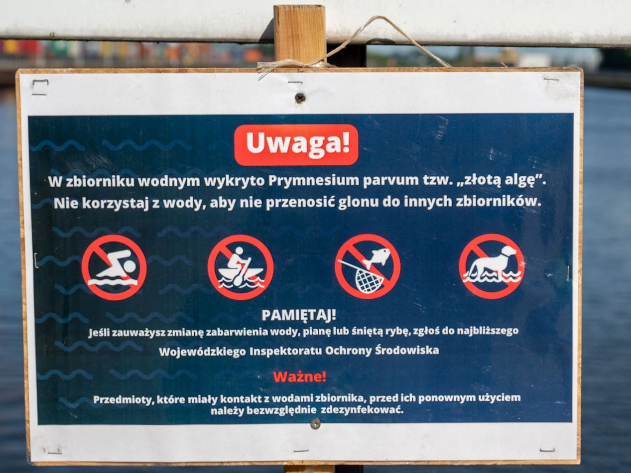 Służby zwiększają monitoring w Kanale Gliwickim