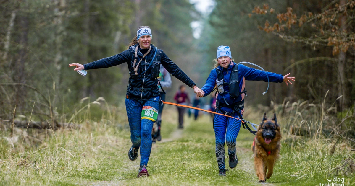 Dogtrekking