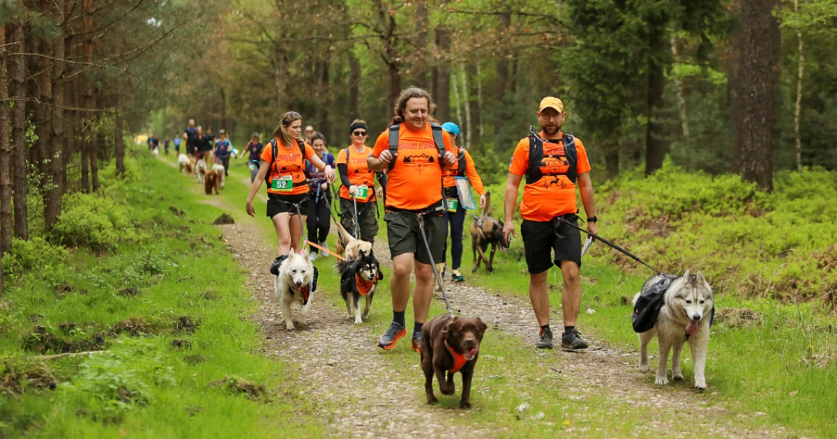 Dogtrekking