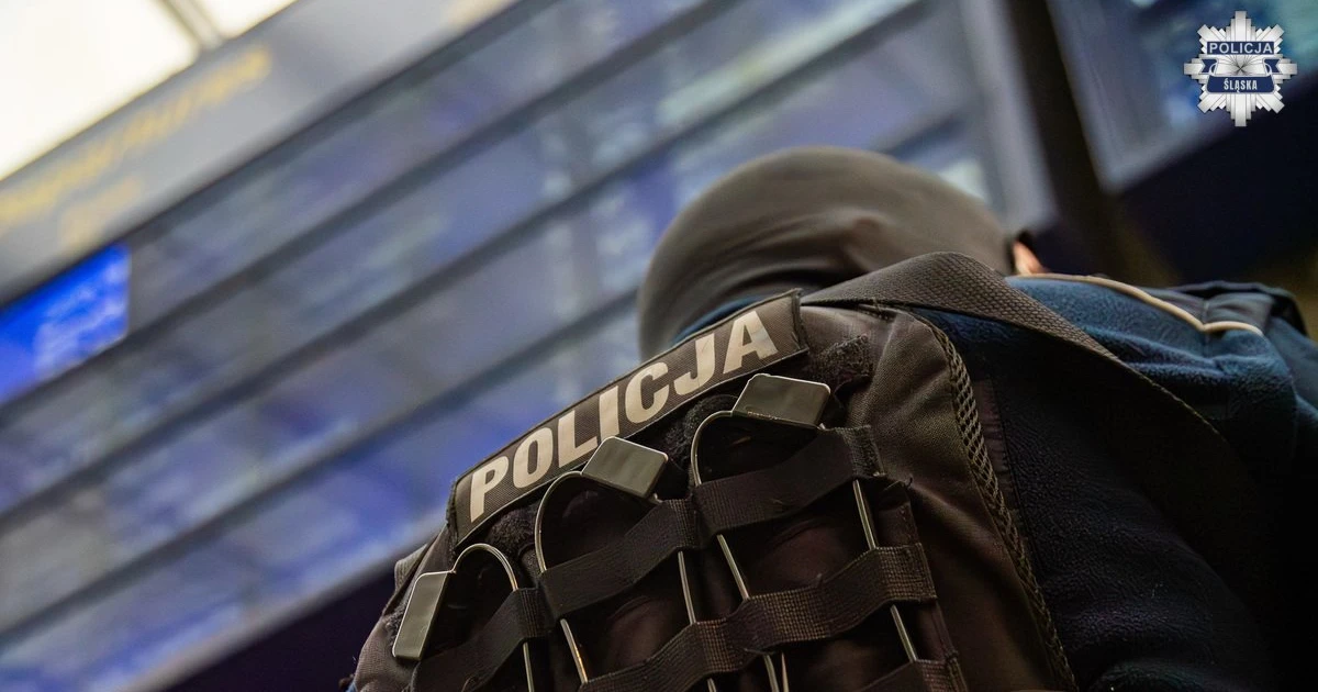 policja