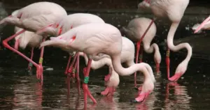 Wakacyjne warsztaty w Śląskim ZOO. Tym razem w roli głównej mokradła