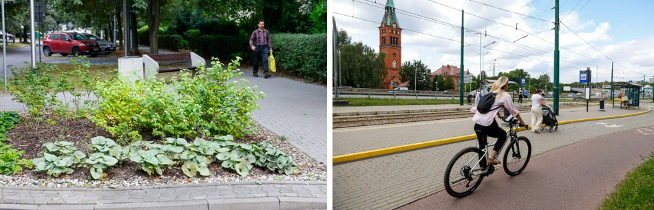 zielony budżet katowice