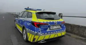 Jazda we mgle - te zasady warto znać