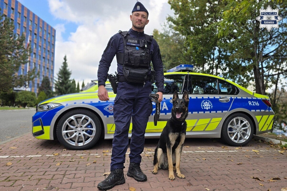 Zorro dołącza do katowickiej policji. Owczarek niemiecki rusza na patrole