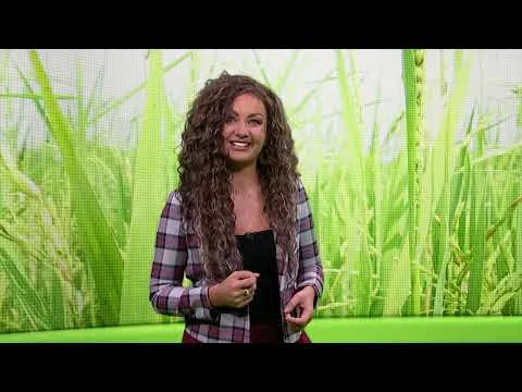 Obrazek YouTube: Realizacja projektu budowy kanalizacji w Skoczowie. EKOWIZJA październik 2025