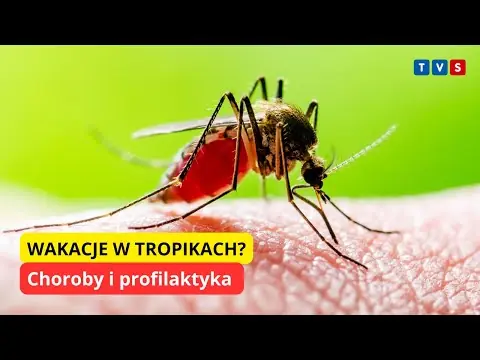 Obrazek YouTube: Wakacje w tropikach? Choroby i profilaktyka