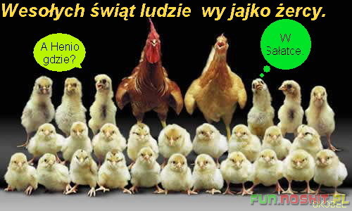 memy śmieszne wielkanoc - TVS.pl